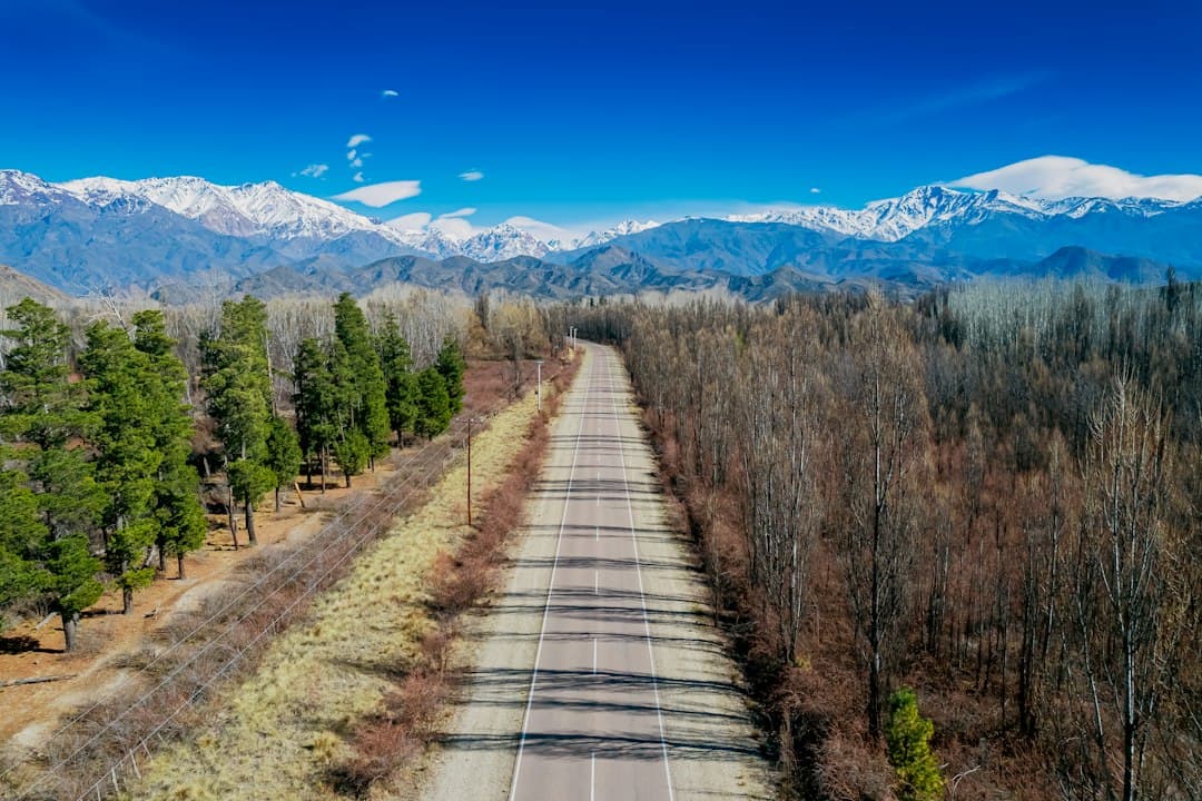 A long, straight road leading towards snow-capped mountains in a rural landscape.