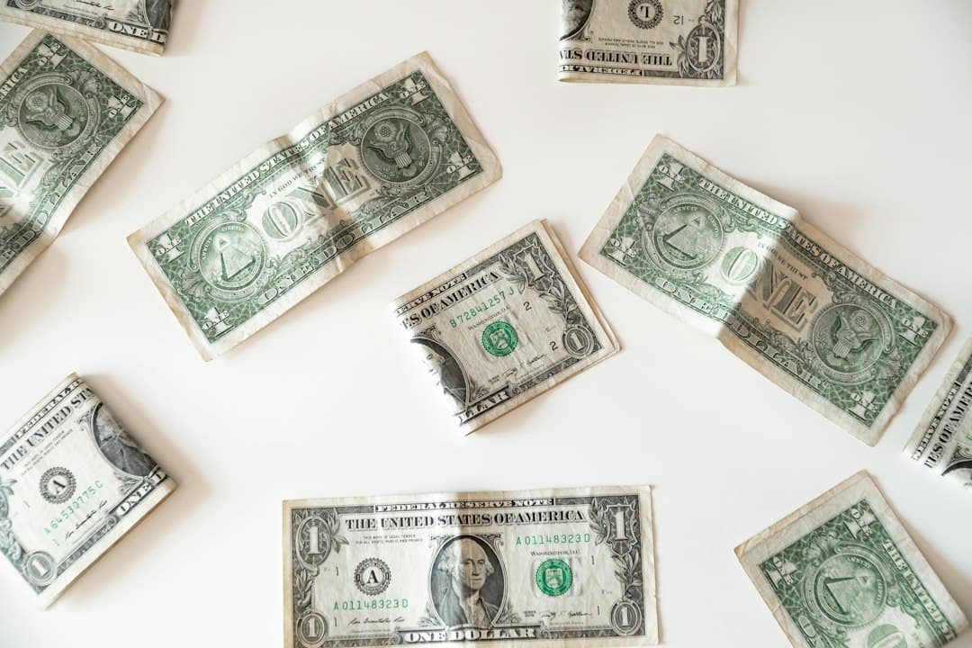 Landen waar de Amerikaanse dollar de officiële munt is: wat je moet uitzoeken voordat je vertrekt
