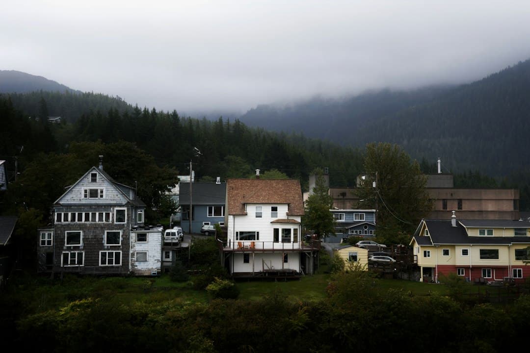 Houses at the edge of a forest with dense coniferous trees in a misty mountain valley, showing the habitat-vegetation interface.