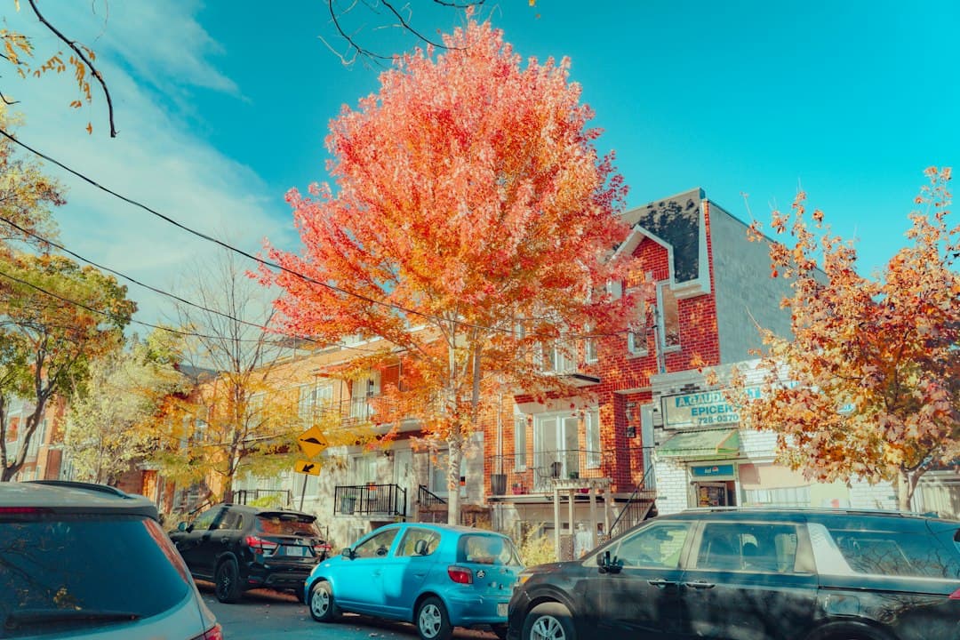 Living in Canada as an Expat: Permanent Residence, Diplomas, Rents and Montréal