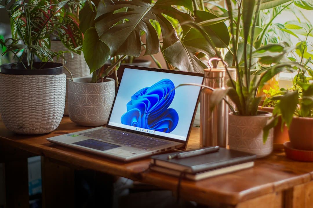 Training to Work Remotely: Which Career Changes to Choose
