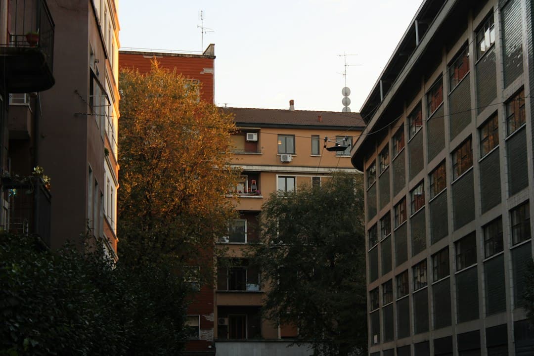 Palazzi residenziali italiani con finestre dotate di persiane in una stretta corte urbana circondata dall'edera.