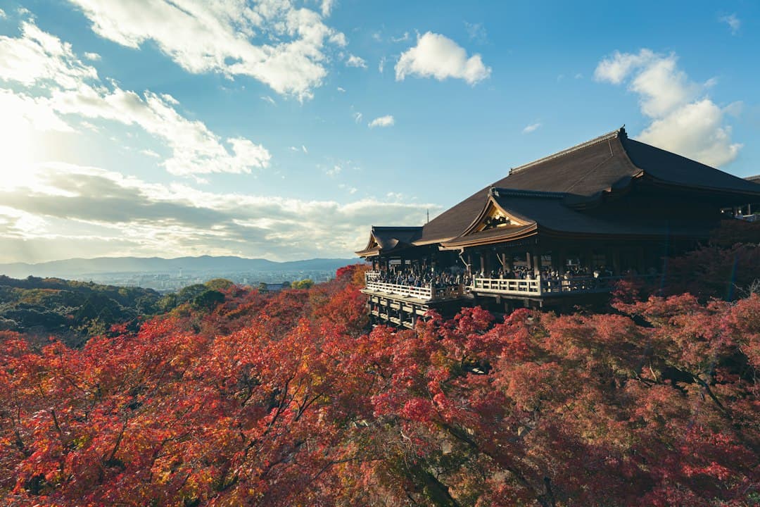 Traditional Japanese temple surrounded by bright red maple trees in autumn with a mountain landscape.