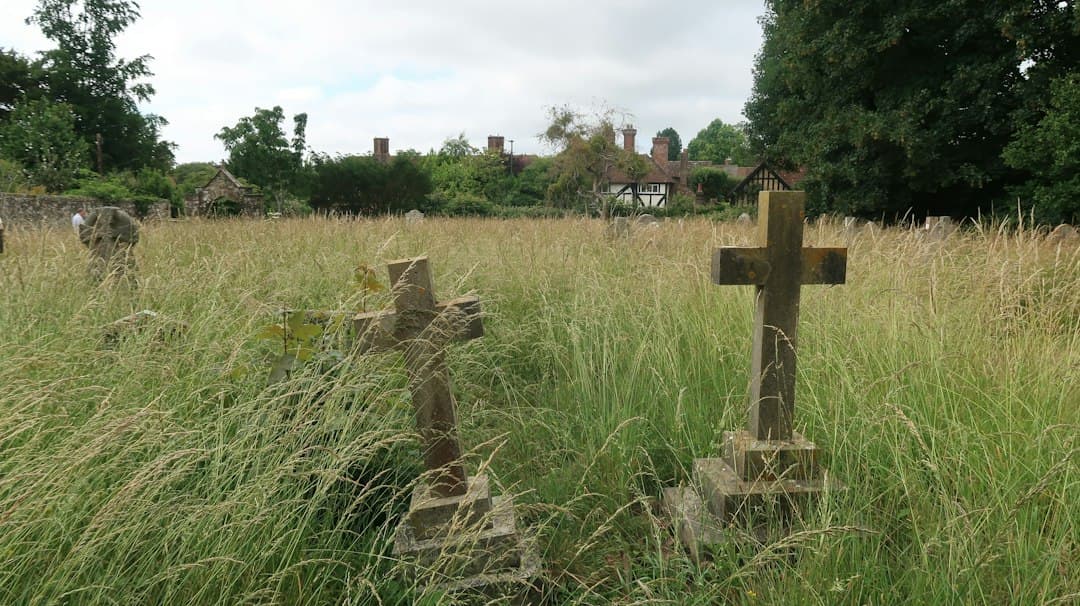 Worn stone crosses and tombstones in a cemetery overgrown with tall grass and trees.