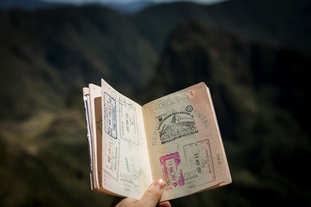 Open passport with several visa stamps held in front of a mountain landscape, illustrating international travel documentation.
