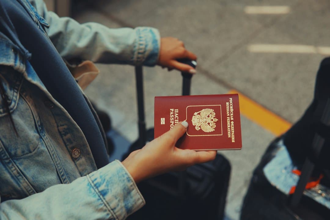 Expat Health Insurance: Local Plan, CFE, or International Coverage