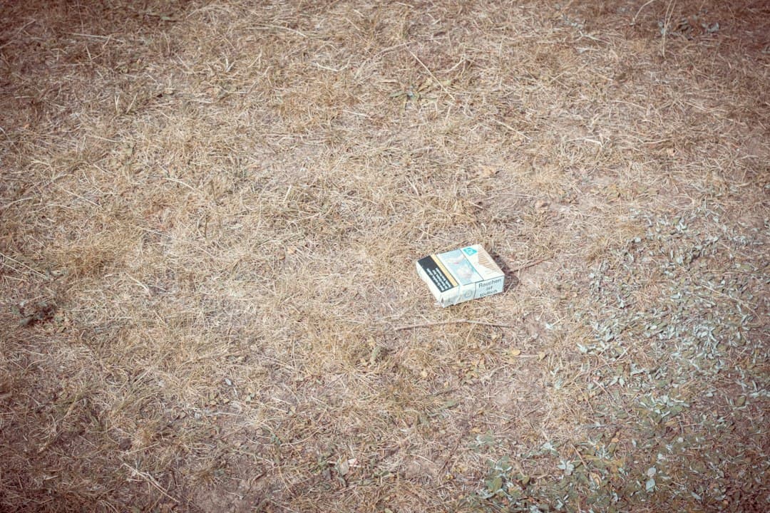 Discarded cigarette pack on dry grass, illustrating human negligence as a fire risk.